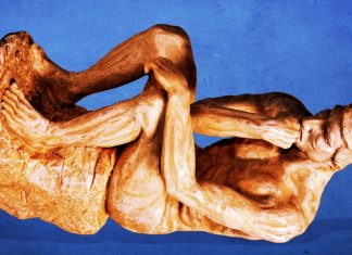 Ceremonia Premiilor Ig Nobel se Mută în Europa din Cauza Preocupărilor de Securitate 0 (0)