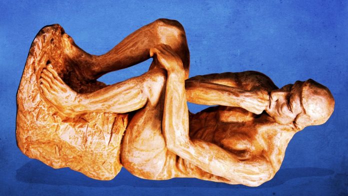 ignobles-2022-1152x648