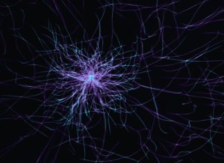 Istoria proiectului Blue Brain și simularea creierului uman 0 (0)