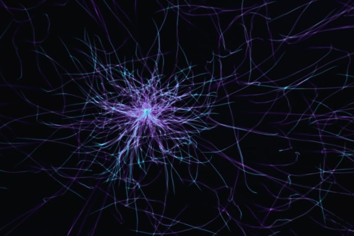 Istoria proiectului Blue Brain și simularea creierului uman