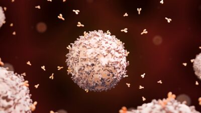 B-cell-antibodies-400x225