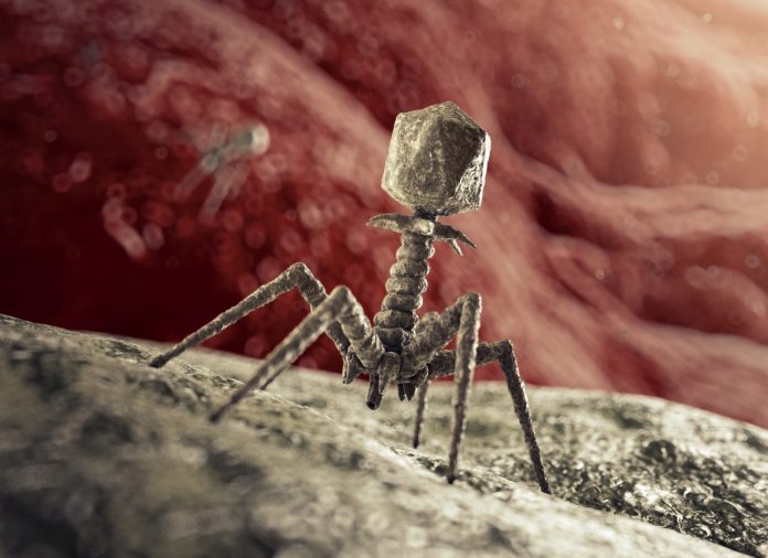 Bacteriophage-1207917628-scaled