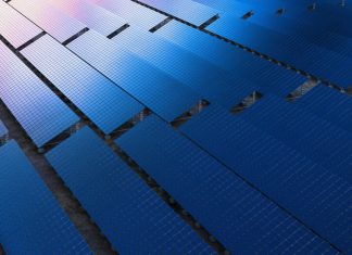 Blocarea Politicilor Guvernamentale Anti-Renewable: O Victorie Preliminară în Justiție 0 (0)