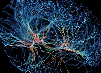 OpenAI lansează GPT-Rosalind, un model de inteligență artificială specializat în biologie 0 (0)