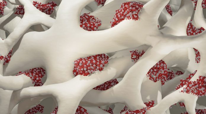 GettyImages-1488349508