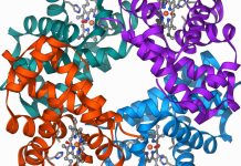 Progrese semnificative în terapia genetică: Editarea genelor combate β-Talasemia
