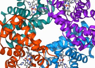 Progrese semnificative în terapia genetică: Editarea genelor combate β-Talasemia 0 (0)