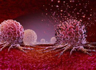 AACR 2026: David Parkinson și Evoluția Terapiei Moderne Contra Cancerului 0 (0)