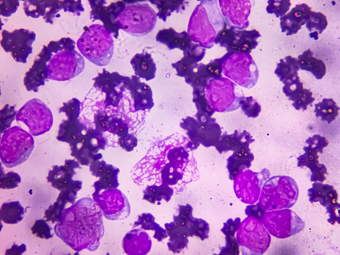 GettyImages-2173675931