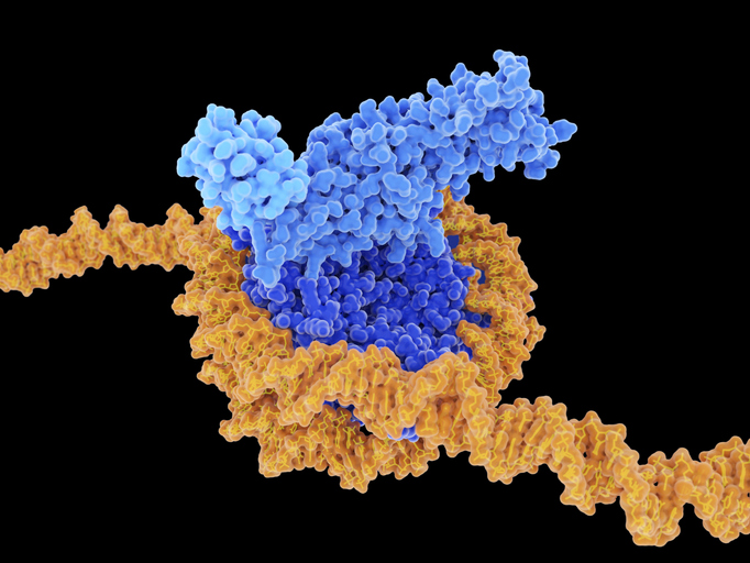 GettyImages-2220283398