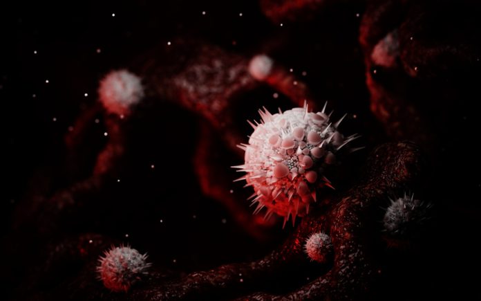 GettyImages-2250569463