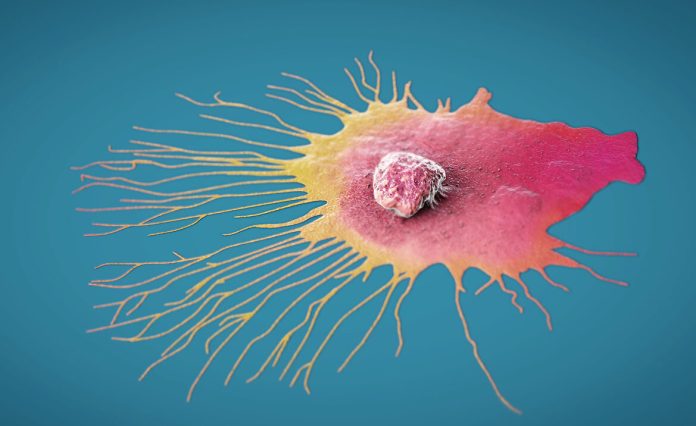 GettyImages_1184194742_BreastCancerCell-e1731426457324