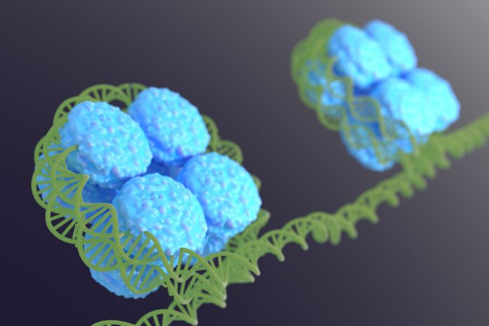 Getty_1476301933_DNA-Nucleus