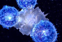 Celulele Imune Modificate Vizează Semnătura Metabolică a Cancerului