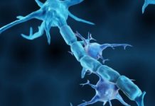 Descoperire Promițătoare: Modularea unui Traseu de Semnalizare Ameliorează Simptomele Alzheimer în Modele de Șoareci