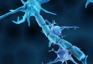 Descoperire Promițătoare: Modularea unui Traseu de Semnalizare Ameliorează Simptomele Alzheimer în Modele de Șoareci 0 (0)