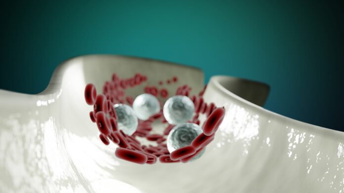 imgmidi-blood-cells-6974700-696x391