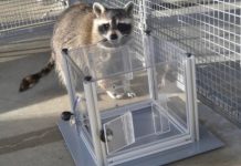 Șapte descoperiri științifice fascinante pe care le-ai putea rata