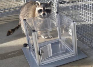 Șapte descoperiri științifice fascinante pe care le-ai putea rata 0 (0)