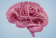 Alzheimer și enigma proteinelor amiloid-beta: între speranță și deziluzie