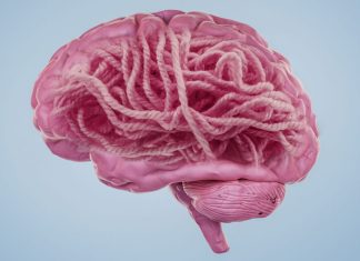 Alzheimer și enigma proteinelor amiloid-beta: între speranță și deziluzie 5 (1)