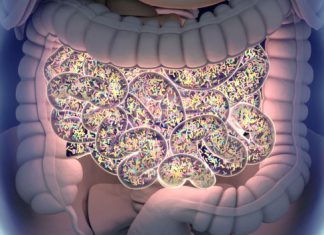 Terapia microbiomului ar putea ajuta pacienții cu melanom rezistent la medicamente 4 (1)