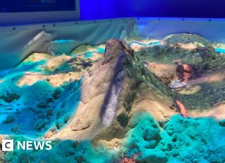 Parcul de faună sălbatică inaugurează un centru interactiv cu un vulcan care erupe 0 (0)