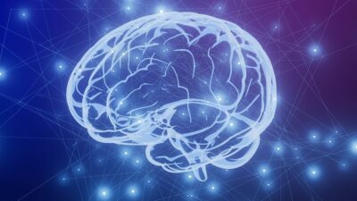 Brain-400x225