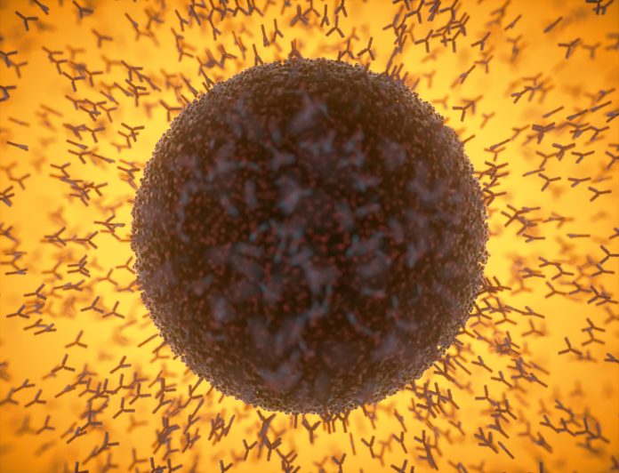 COVID-19-Antibodies-1255446268
