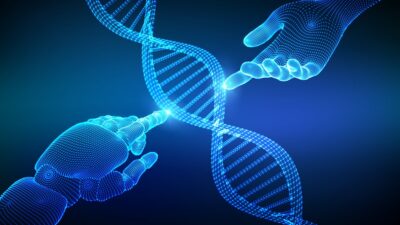 DNA-modeling-400x225