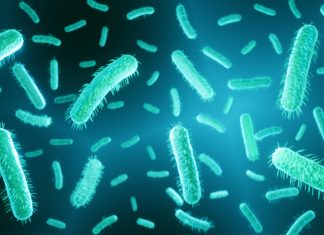 Terapia genetică precisă promite combaterea infecțiilor cu E. coli rezistente la antibiotice 0 (0)
