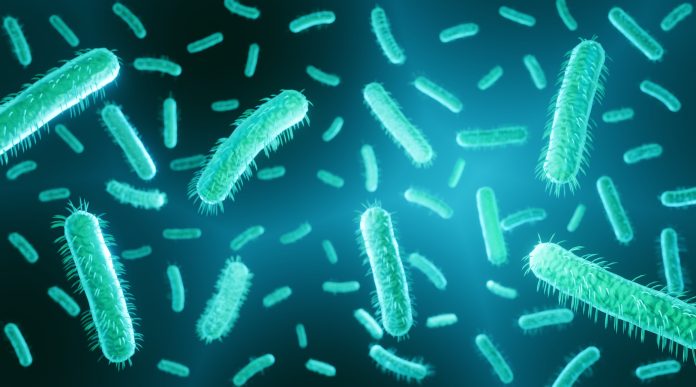 E.-coli-1325173791