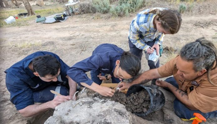 Excavation.-Photo-BQ-1131x648