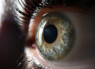 Vârsta biologică a retinei poate prezice riscul de osteoporoză 0 (0)