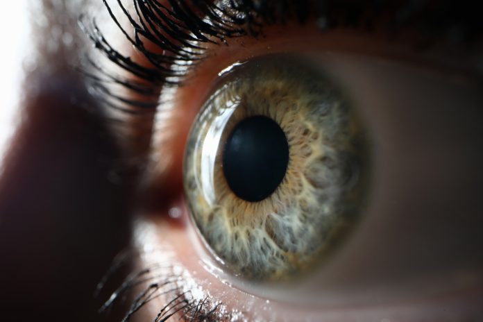 Eye-1208045580