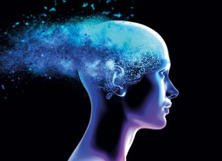 Declinul memoriei la femei, legat de schimbările matricei extracelulare după pierderea estrogenului cerebral 0 (0)