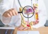 Cum scapă tumorile colorectale de inhibiția KRAS