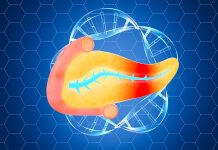 Europa aprobă primul studiu clinic pentru o terapie genică împotriva diabetului de tip 2