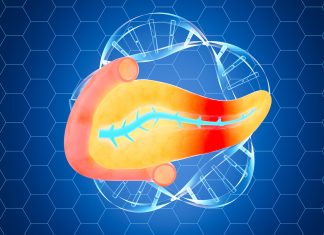 Europa aprobă primul studiu clinic pentru o terapie genică împotriva diabetului de tip 2 0 (0)