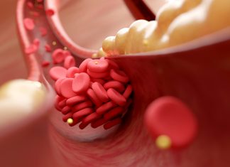O descoperire majoră în genetica cardiovasculară poate schimba tratamentul bolilor de inimă 0 (0)