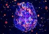 Modelul de inteligență artificială care prezice evoluția Alzheimerului dintr-o singură scanare RMN