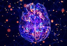 Modelul de inteligență artificială care prezice evoluția Alzheimerului dintr-o singură scanare RMN