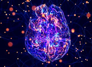 Modelul de inteligență artificială care prezice evoluția Alzheimerului dintr-o singură scanare RMN 0 (0)