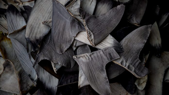 GettyImages-2240037962-1152x648