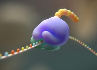 Cercetătorii propun reducerea codului genetic de la 20 la 19 aminoacizi 0 (0)
