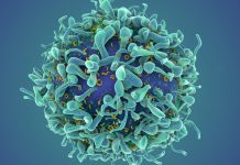 O terapie revoluționară pentru cancer ar putea transforma tratamentul bolilor autoimune