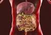 Schimbări rapide ale microbiomului intestinal în comunitățile indigene amazoniene, legate de îngrijirea medicală timpurie