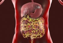 Schimbări rapide ale microbiomului intestinal în comunitățile indigene amazoniene, legate de îngrijirea medicală timpurie