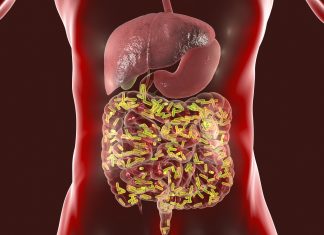 Schimbări rapide ale microbiomului intestinal în comunitățile indigene amazoniene, legate de îngrijirea medicală timpurie 5 (1)