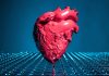 Noua generație de sisteme AI în cardiologie depășește modelele existente